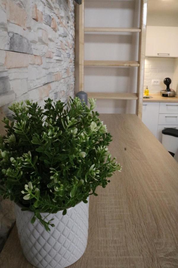 Studio Apartman Chiara Zagreb Eksteriør billede